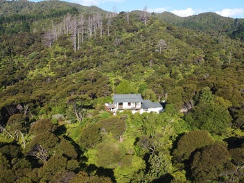 Image 1 of 40