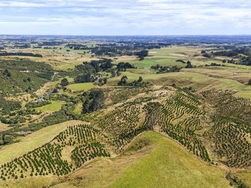 Stunning property with scenic views