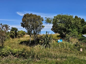 Image 1 of 13