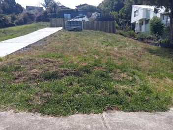Image 1 of 21