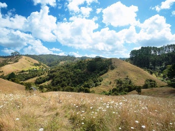 LIFESTYLE BLOCK – 5.15 HECTARES