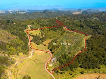 Image 1 of 16