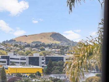 Greenlane gem: sleek & spacious with views