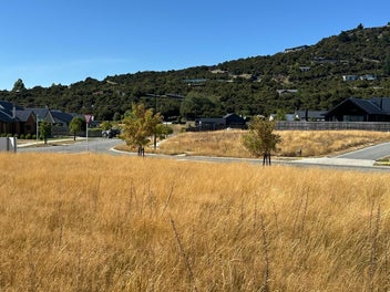 Image 1 of 13