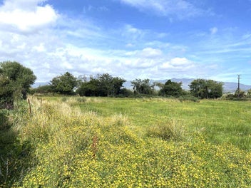 Expansive Residential Sections