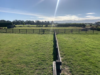 Lifestyle Section in Winton
