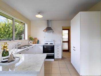Solid, Easy-Care & Packed with Potential!