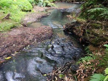 Downsize the Stress, Not the Lifestyle