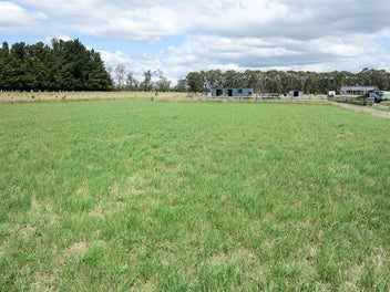 Image 1 of 8