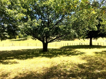 Escape To The Good Life! - Close to town