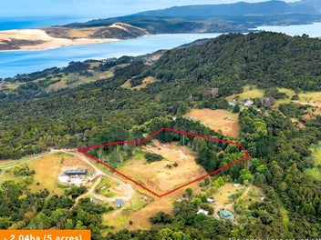 PRICED TO SELL LIFESTYLE BLOCKS - LOT 1 & LOT 3