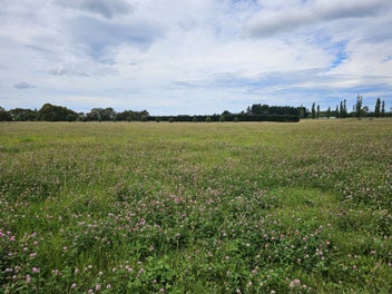 Premium bare land canvas