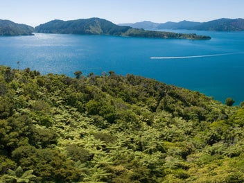 Queen Charlotte Sound: Bay of Many Coves
