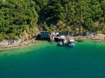Queen Charlotte Sound: Bay of Many Coves
