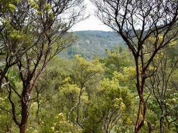 Image 1 of 10