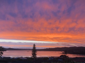 PARUA BAY PEACE and PRIVACY