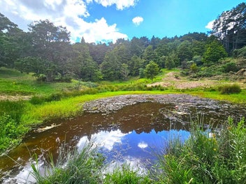 1/Lot 1 Horeke Road