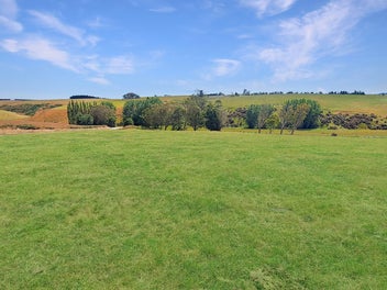 Image 1 of 6