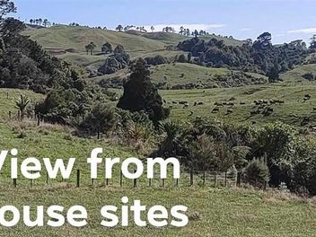 Lifestyle block great house sites