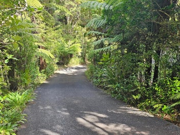 Rare Opportunity in Paradise