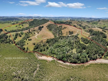 Kaipara gem - peace, privacy and views