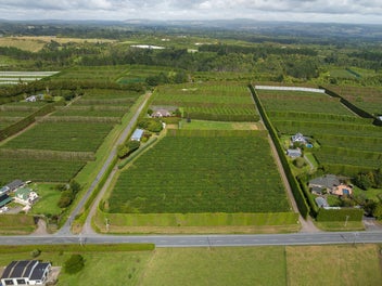 Image 1 of 34