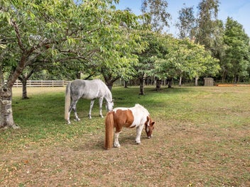 Family paradise in Westmere
