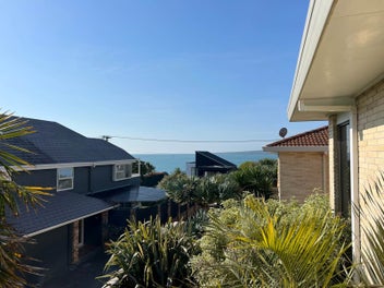 Image 1 of 29