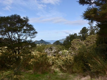 Image 1 of 11