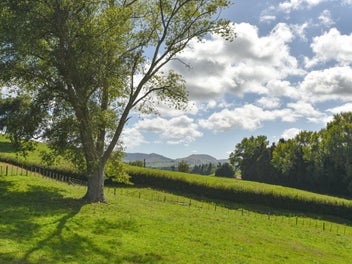Design your future in Waikite Valley