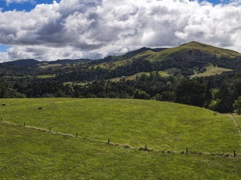 Blank Canvas in the Karangahake Gorge