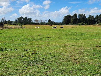 Image 1 of 19