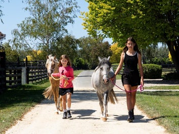 A Dream Equestrian Property