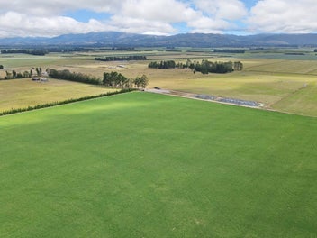 Negotiate additional assets. No covenants!