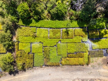 Home with Native Plant Nursery Business