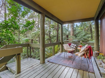 Peter Norton's Rustic Architecture