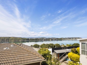 Views Over Evans Bay