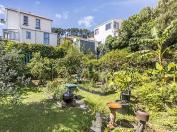 SUNNY NEWTOWN NIRVANA