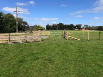 Image 1 of 8