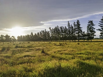 10 Acre Country Retreat, 4 Minutes From Amberley