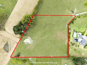 Elevated on 2.9Ha in Dairy Flat