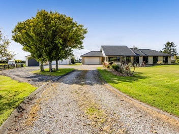 Buy lot 1,2 ,3 or them all!
