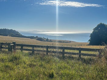 Build coastal - affordable bare land property