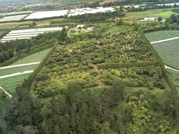 Location, Kiwifruit or lifestyle options