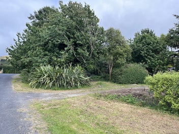 Image 1 of 21