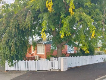 Image 1 of 11