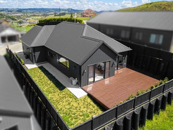 Brand New & Sun-Filled, High-Quality Home