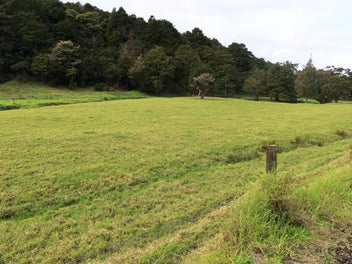 COUNTRY LIFESTYLE - Priced to sell