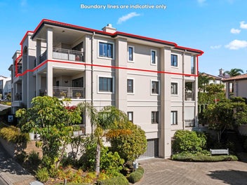 Large Penthouse In Albany Heights