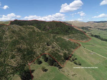 Versatile 133 ha, lifestyle, forestry, native bush